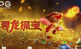 im电竞APP下载2024最新版